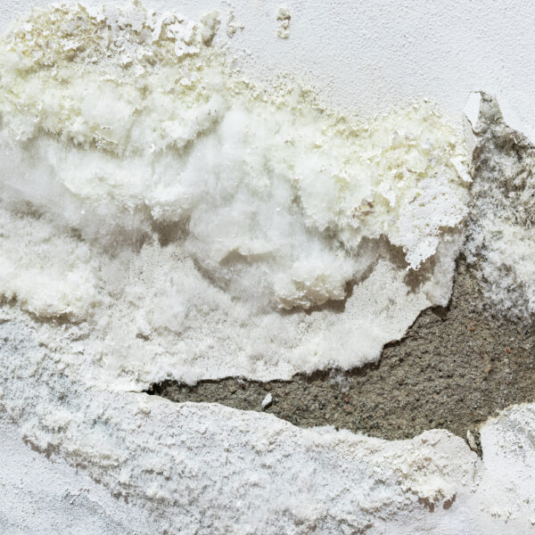 inflitracao-parede-mofo-politintas