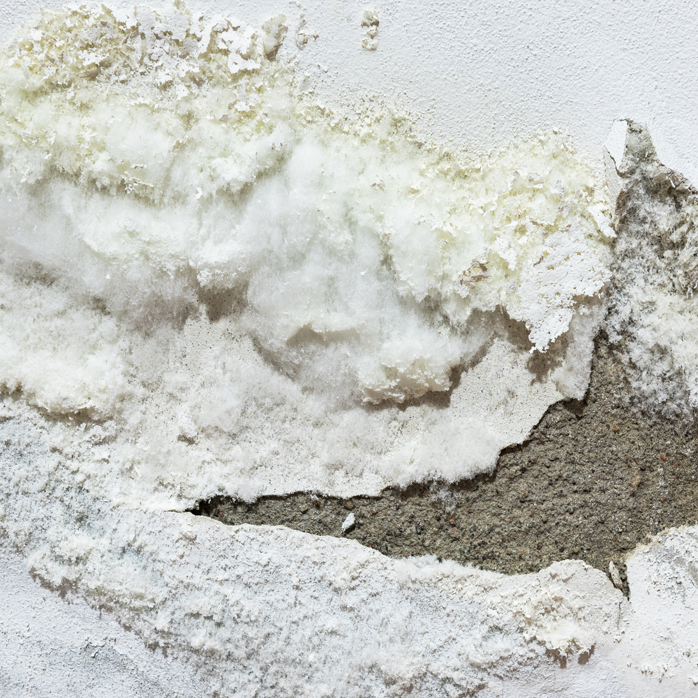 Como repintar parede de casa após chuvas